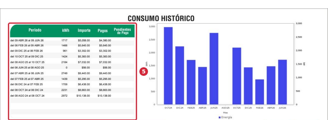 Reverso del recibo de CFE con la tabla y la gráfica de consumo histórico, ampliado